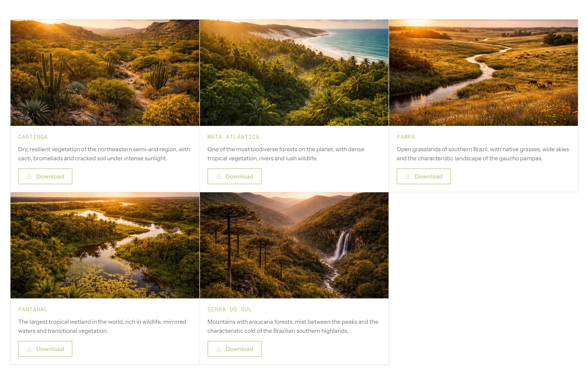Planton UI brand imagery: curated Brazilian biome photos with download options